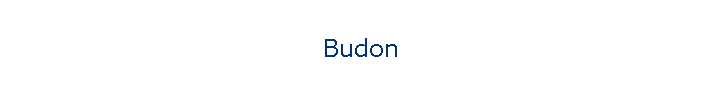Budon