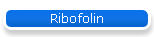 Ribofolin