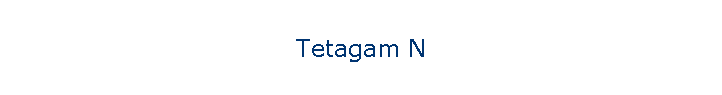 Tetagam N