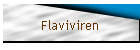 Flaviviren