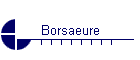 Borsaeure