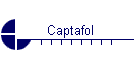 Captafol