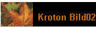 Kroton Bild02