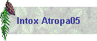 Intox Atropa05