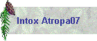 Intox Atropa07