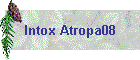 Intox Atropa08