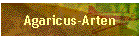 Agaricus-Arten