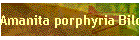 Amanita porphyria Bild01
