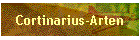 Cortinarius-Arten