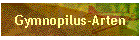 Gymnopilus-Arten