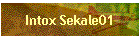Intox Sekale01