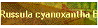 Russula cyanoxantha Bild01