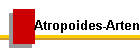 Atropoides-Arten