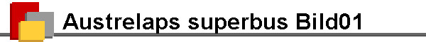 Austrelaps superbus Bild01