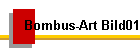 Bombus-Art Bild01