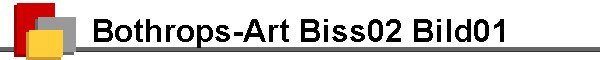 Bothrops-Art Biss02 Bild01