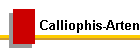 Calliophis-Arten