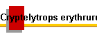 Cryptelytrops erythrurus