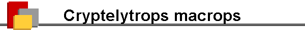Cryptelytrops macrops