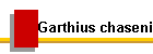 Garthius chaseni