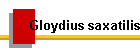 Gloydius saxatilis