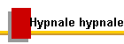 Hypnale hypnale