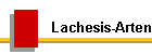 Lachesis-Arten