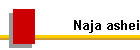 Naja ashei