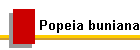 Popeia buniana