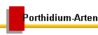 Porthidium-Arten