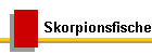 Skorpionsfische