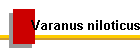 Varanus niloticus