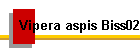 Vipera aspis Biss02