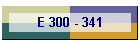 E 300 - 341