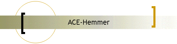 ACE-Hemmer