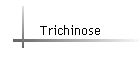 Trichinose